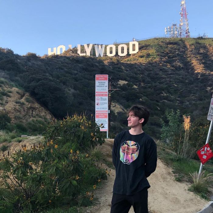 Albert Flamingo photo Credit: His official Instagram (albertsstuff)